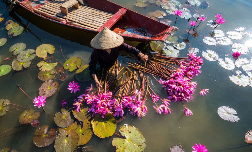 1 day ninh binh (3)