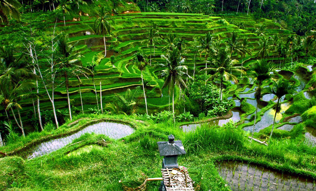 3d2n atv ride bali (6)