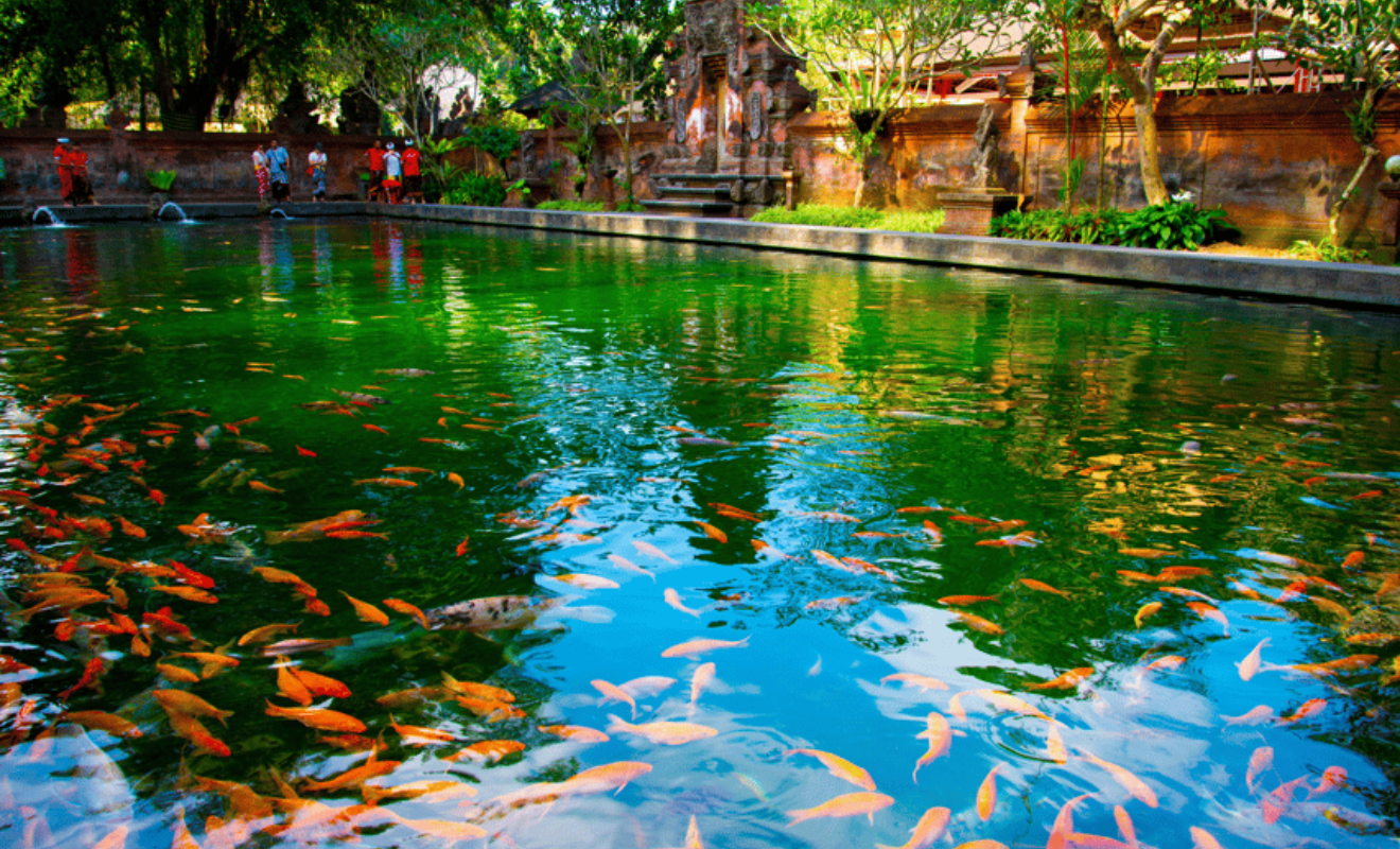 3d2n bali healing package (4)