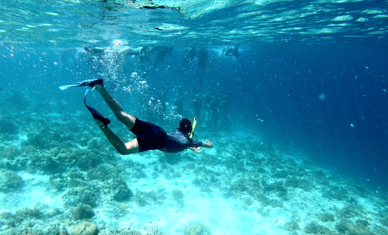 4d3n bali Snorkeling Penida (3)