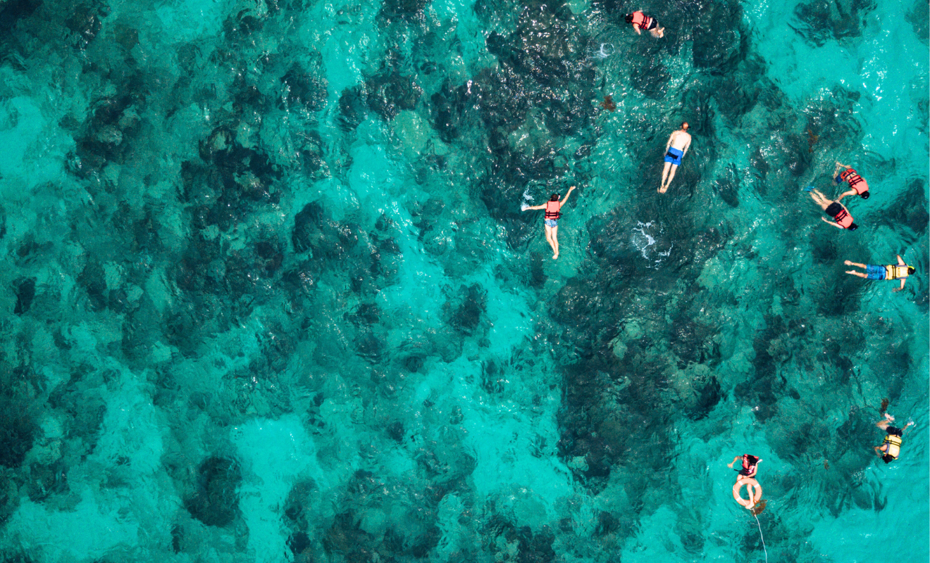 4d3n bali Snorkeling Penida (4)