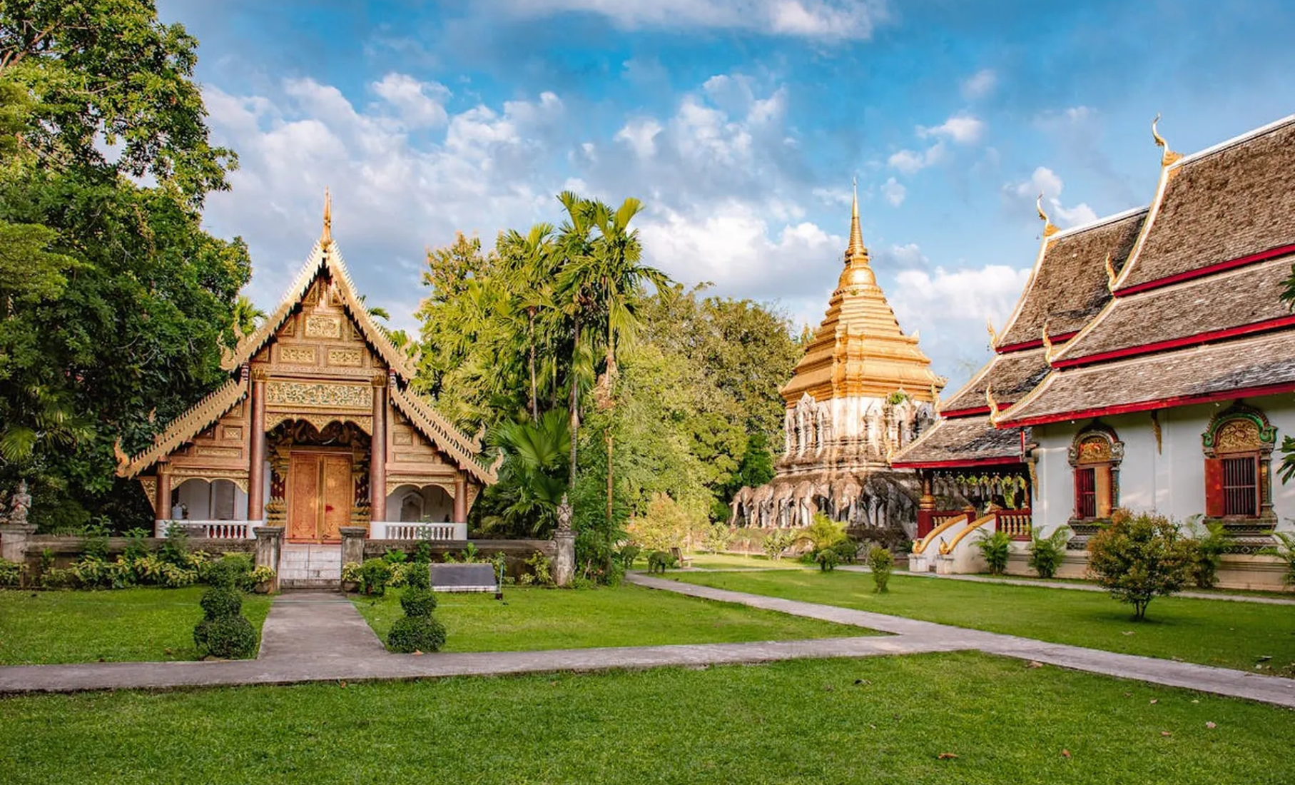 4d3n chiang mai (3)