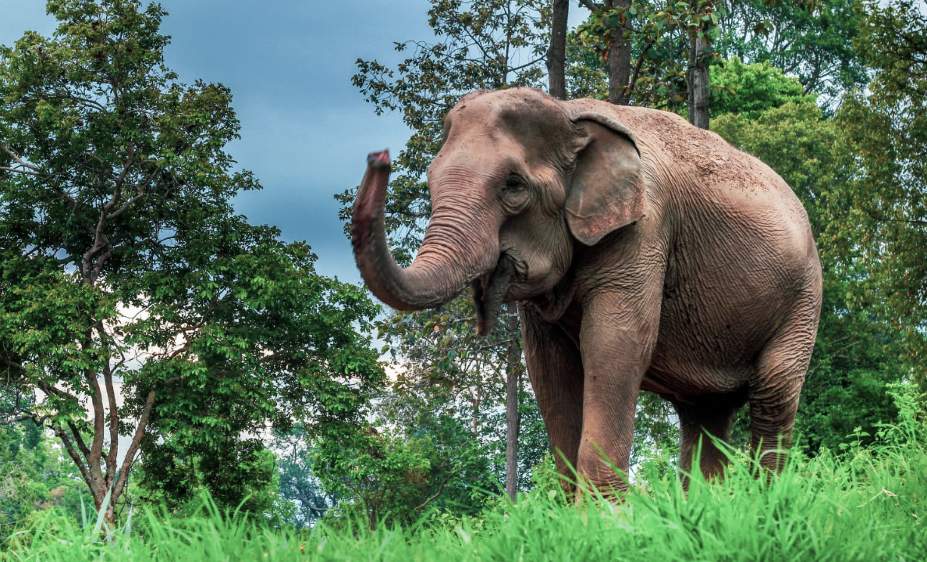 4d3n chiang mai (5)