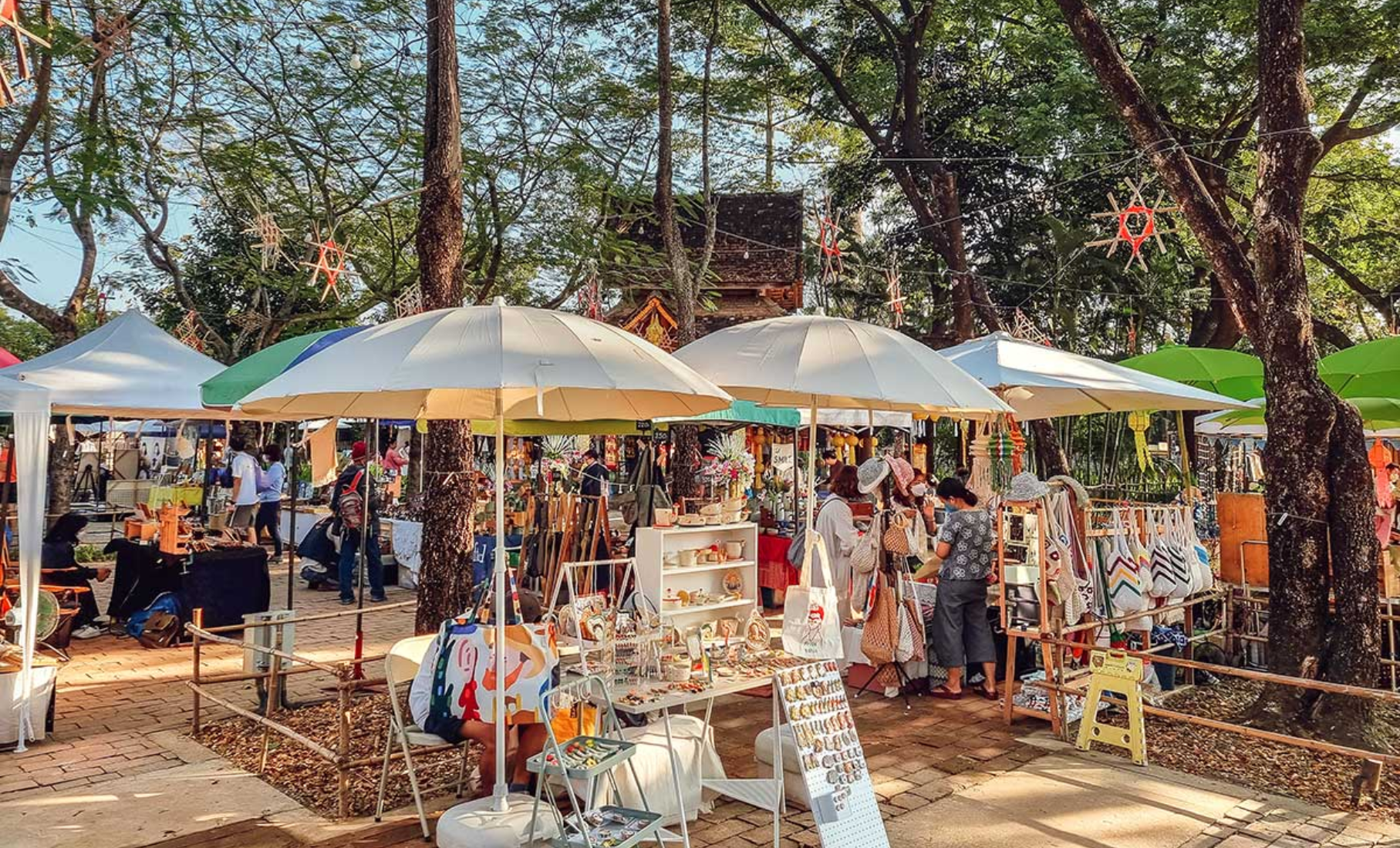 4d3n chiang mai (7)