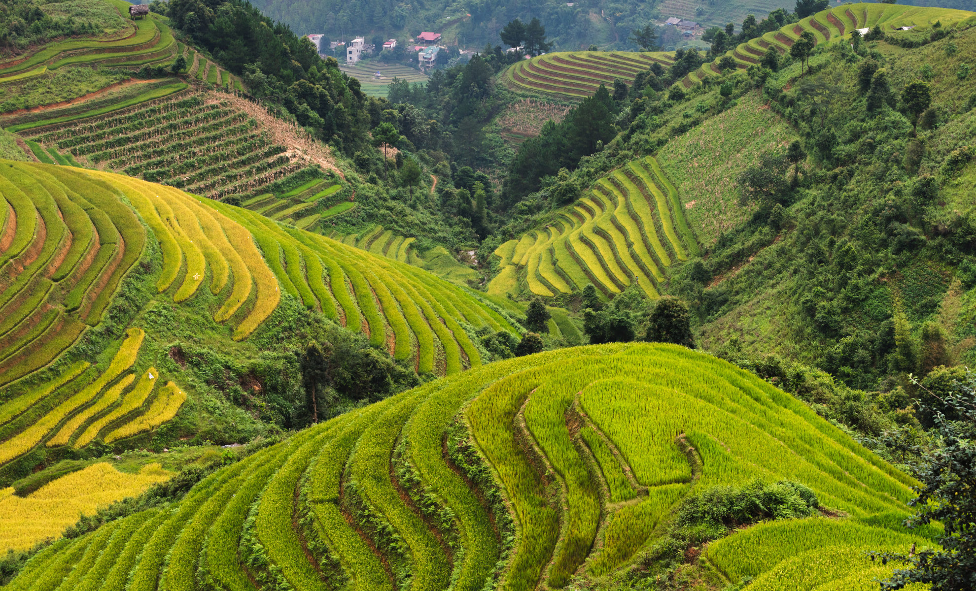 4n3d hanoi sapa (10)