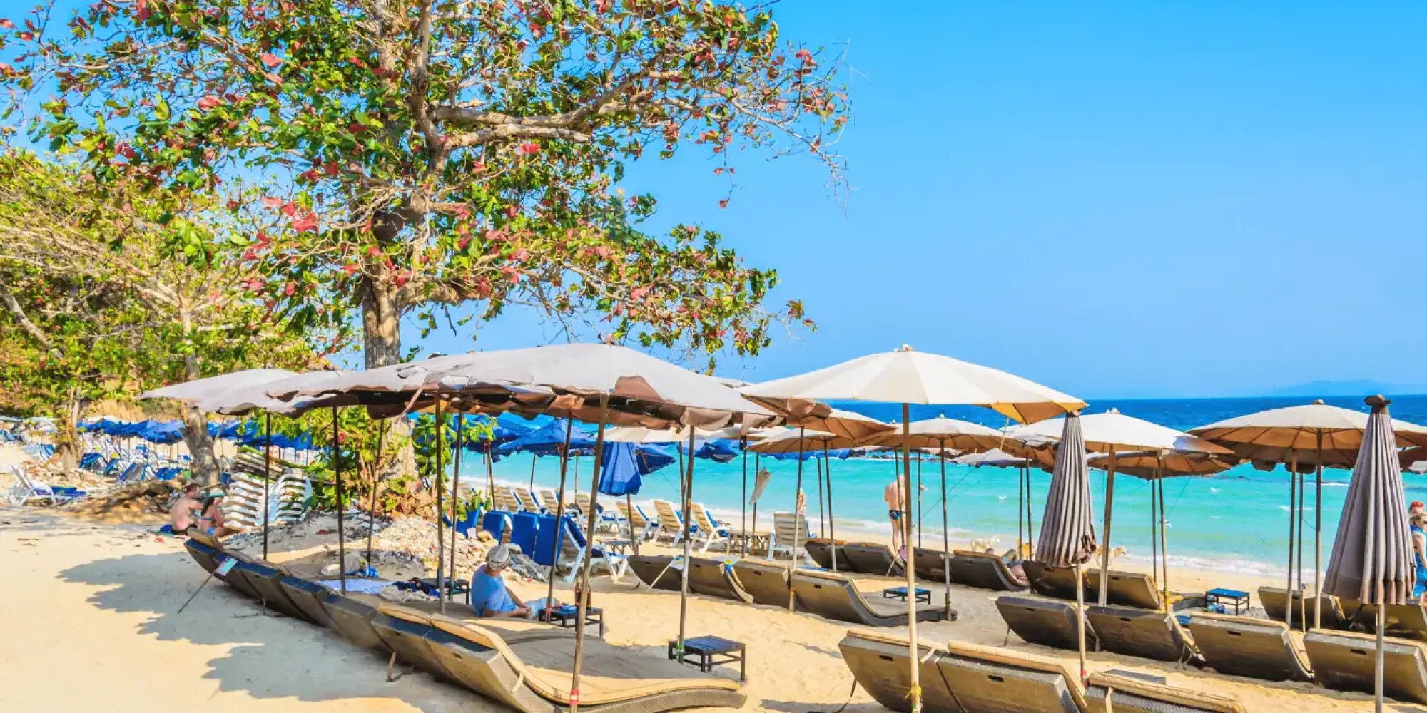 3d2n-pattaya-6
